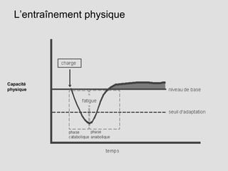 Capacité
physique
L’entraînement physique
 