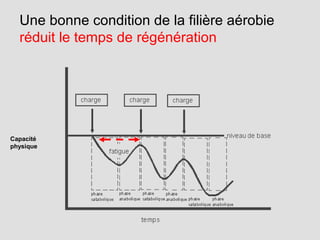 Une bonne condition de la filière aérobie
réduit le temps de régénération
Capacité
physique
 