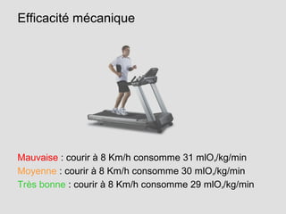 Efficacité mécanique
Mauvaise : courir à 8 Km/h consomme 31 mlO²
/kg/min
Moyenne : courir à 8 Km/h consomme 30 mlO²
/kg/min
Très bonne : courir à 8 Km/h consomme 29 mlO²
/kg/min
 