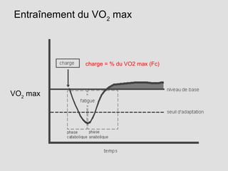 Entraînement du VO2
max
VO2
max
charge = % du VO2 max (Fc)
 