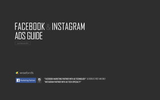 Wisebirds facebook & Instagram ads guide