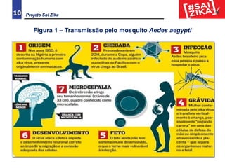 10
Figura 1 – Transmissão pelo mosquito Aedes aegypti
Projeto Sai Zika
 
