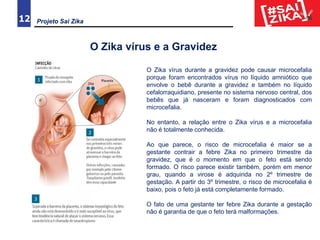 12
O Zika vírus e a Gravidez
Projeto Sai Zika
O Zika vírus durante a gravidez pode causar microcefalia
porque foram encontrados vírus no líquido amniótico que
envolve o bebê durante a gravidez e também no líquido
cefalorraquidiano, presente no sistema nervoso central, dos
bebês que já nasceram e foram diagnosticados com
microcefalia.
No entanto, a relação entre o Zika vírus e a microcefalia
não é totalmente conhecida.
Ao que parece, o risco de microcefalia é maior se a
gestante contrair a febre Zika no primeiro trimestre da
gravidez, que é o momento em que o feto está sendo
formado. O risco parece existir também, porém em menor
grau, quando a virose é adquirida no 2º trimestre de
gestação. A partir do 3º trimestre, o risco de microcefalia é
baixo, pois o feto já está completamente formado.
O fato de uma gestante ter febre Zika durante a gestação
não é garantia de que o feto terá malformações.
 