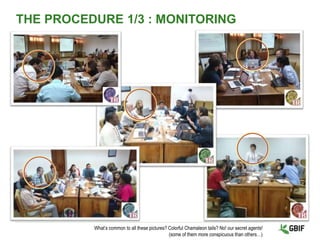 THE PROCEDURE 1/3 : MONITORING
What’s common to all these pictures? Colorful Chamaleon tails? No! our secret agents!
(some of them more conspicuous than others…)
 