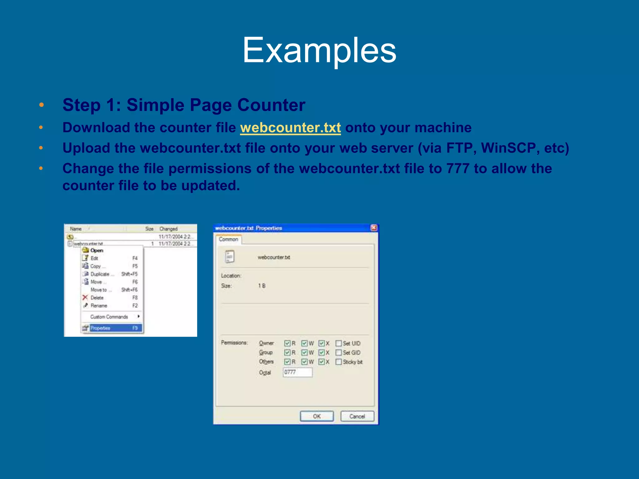 Examples
• Step 1: Simple Page Counter
• Download the counter file webcounter.txt onto your machine
• Upload the webcounter.txt file onto your web server (via FTP, WinSCP, etc)
• Change the file permissions of the webcounter.txt file to 777 to allow the
counter file to be updated.
 