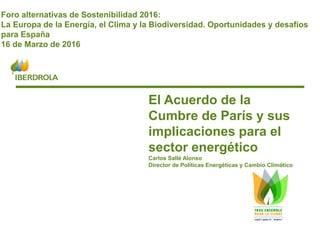 1www.iberdrola.com
El Acuerdo de la
Cumbre de París y sus
implicaciones para el
sector energético
Carlos Sallé Alonso
Director de Políticas Energéticas y Cambio Climático
Foro alternativas de Sostenibilidad 2016:
La Europa de la Energía, el Clima y la Biodiversidad. Oportunidades y desafíos
para España
16 de Marzo de 2016
 