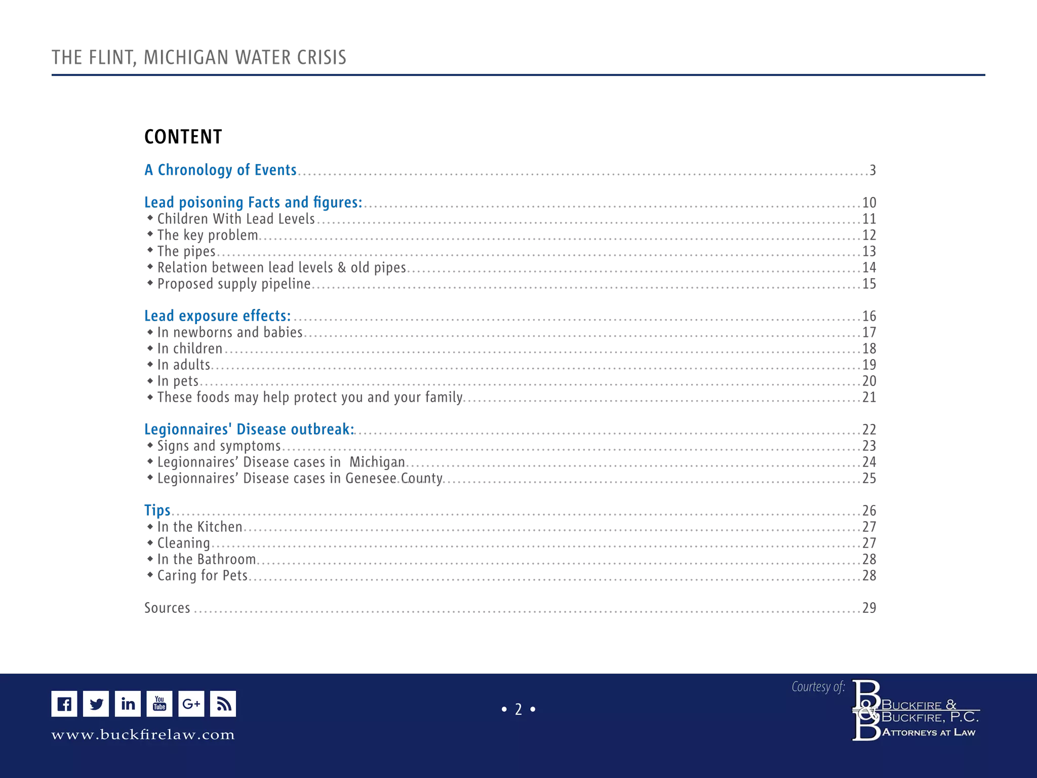The Flint Michigan Water Crisis Causes & Effects PDF