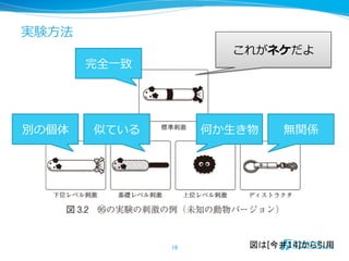 実験⽅方法
18	
 図は[今井14]から引用	
これがネケだよ
別の個体 似ている 何か⽣生き物 無関係
完全⼀一致
 