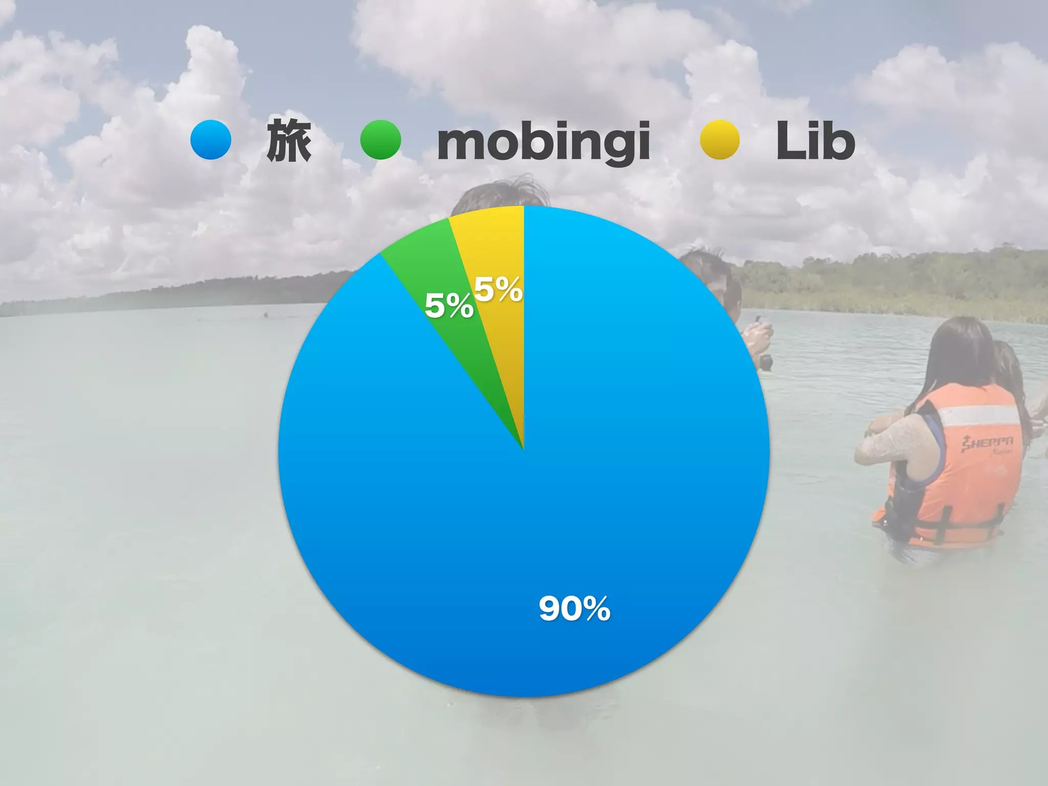 5%
5%
90%
旅 mobingi Lib
 