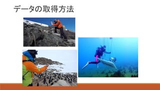 データの取得方法
 