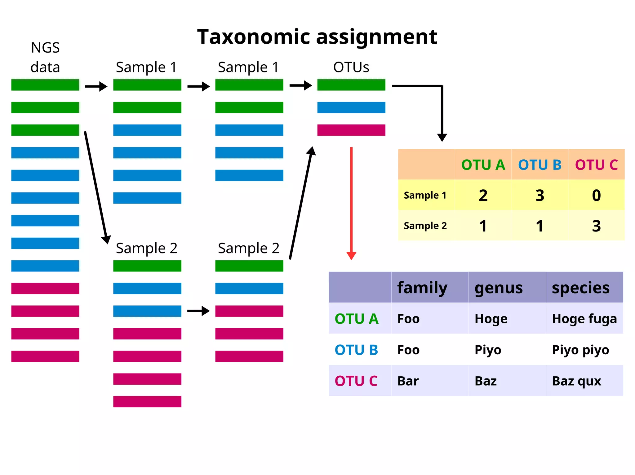 Taxonomic assignment
OTU A OTU B OTU C
Sample 1 2 3 0
Sample 2 1 1 3
family genus species
OTU A Foo Hoge Hoge fuga
OTU B Foo Piyo Piyo piyo
OTU C Bar Baz Baz qux
NGS
data Sample 1
Sample 2
Sample 1
Sample 2
OTUs
 