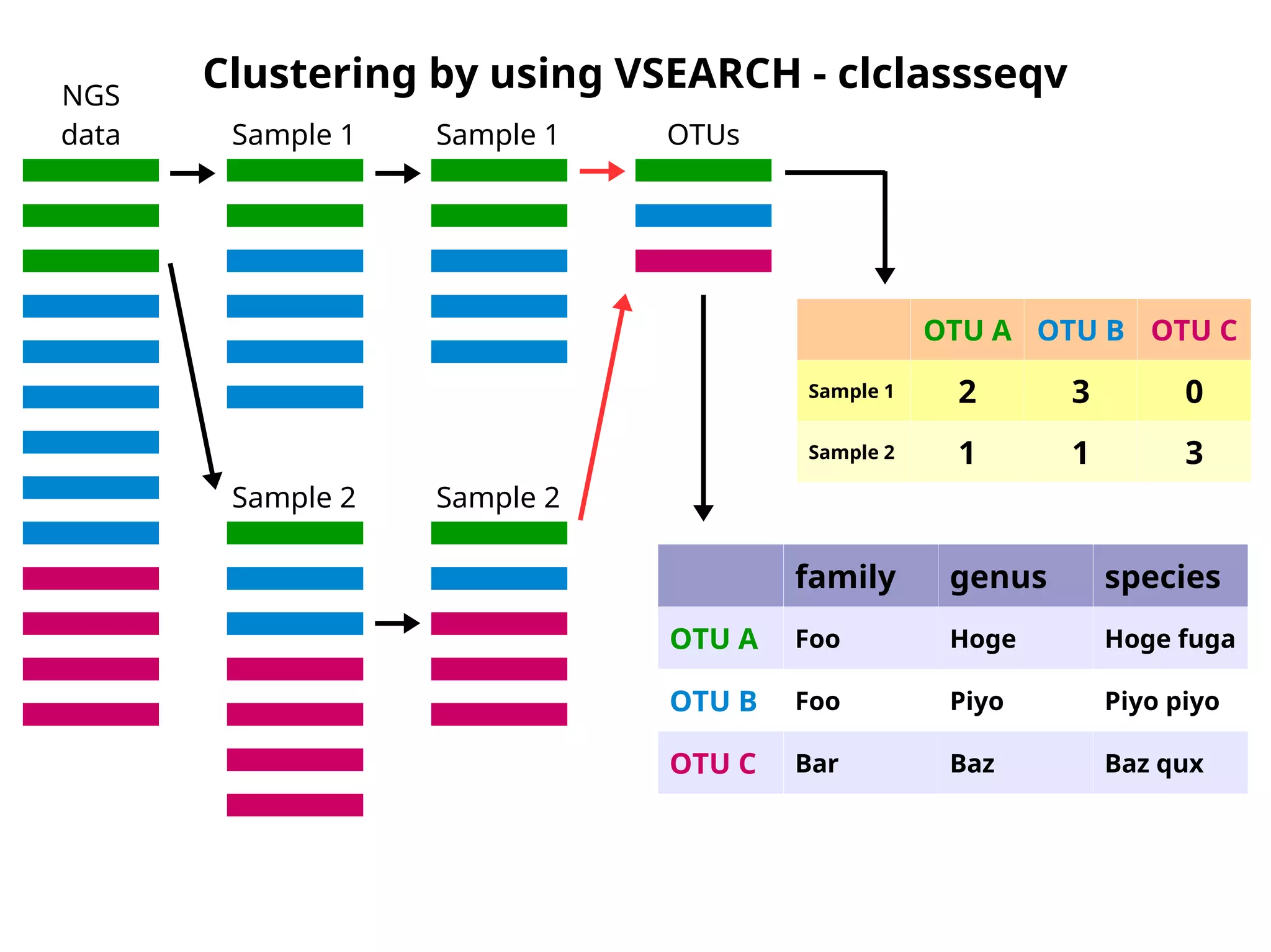 Clustering by using VSEARCH - clclassseqv
OTU A OTU B OTU C
Sample 1 2 3 0
Sample 2 1 1 3
family genus species
OTU A Foo Hoge Hoge fuga
OTU B Foo Piyo Piyo piyo
OTU C Bar Baz Baz qux
NGS
data Sample 1
Sample 2
Sample 1
Sample 2
OTUs
 