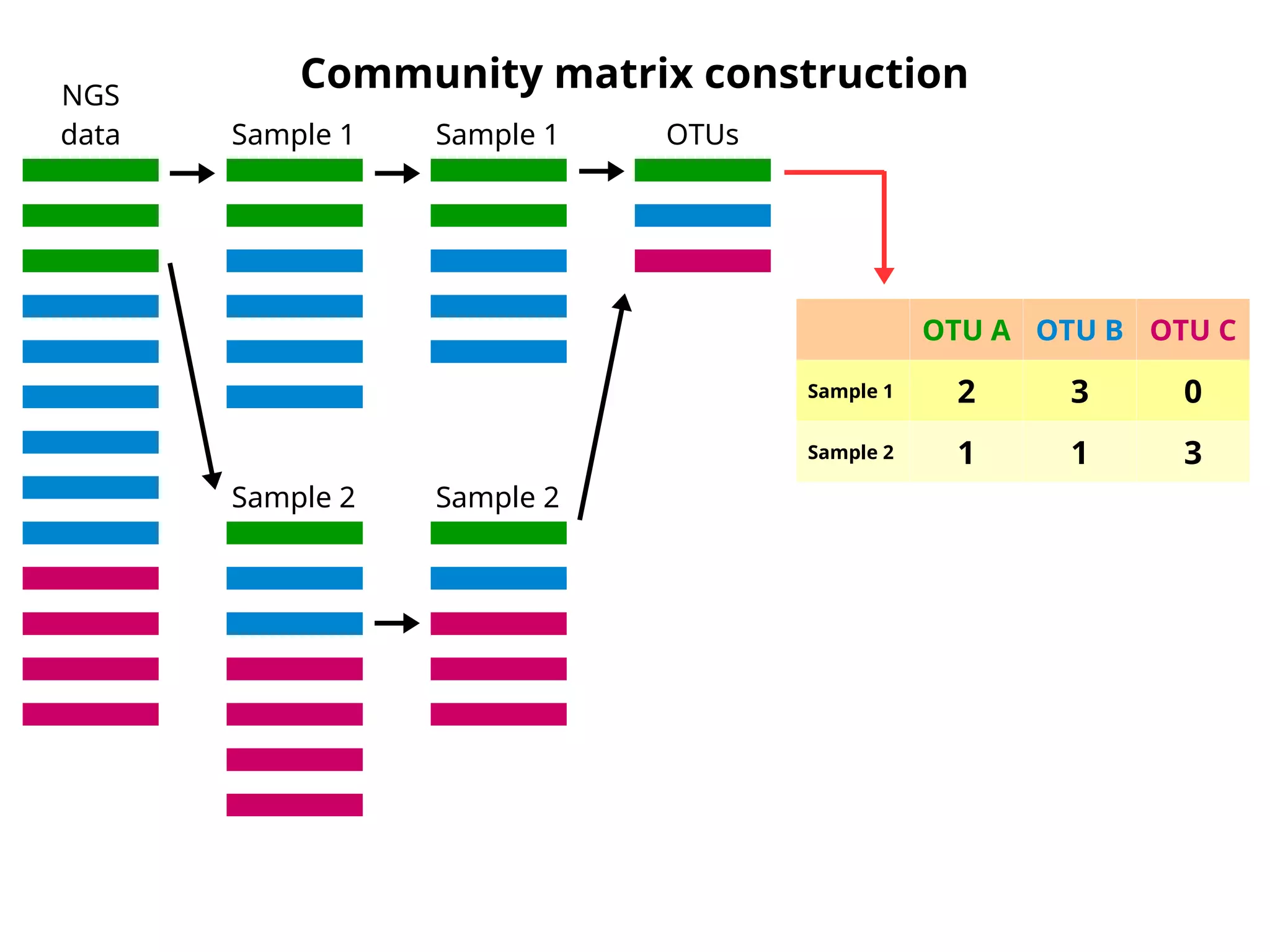 Community matrix construction
OTU A OTU B OTU C
Sample 1 2 3 0
Sample 2 1 1 3
NGS
data Sample 1
Sample 2
Sample 1
Sample 2
OTUs
 