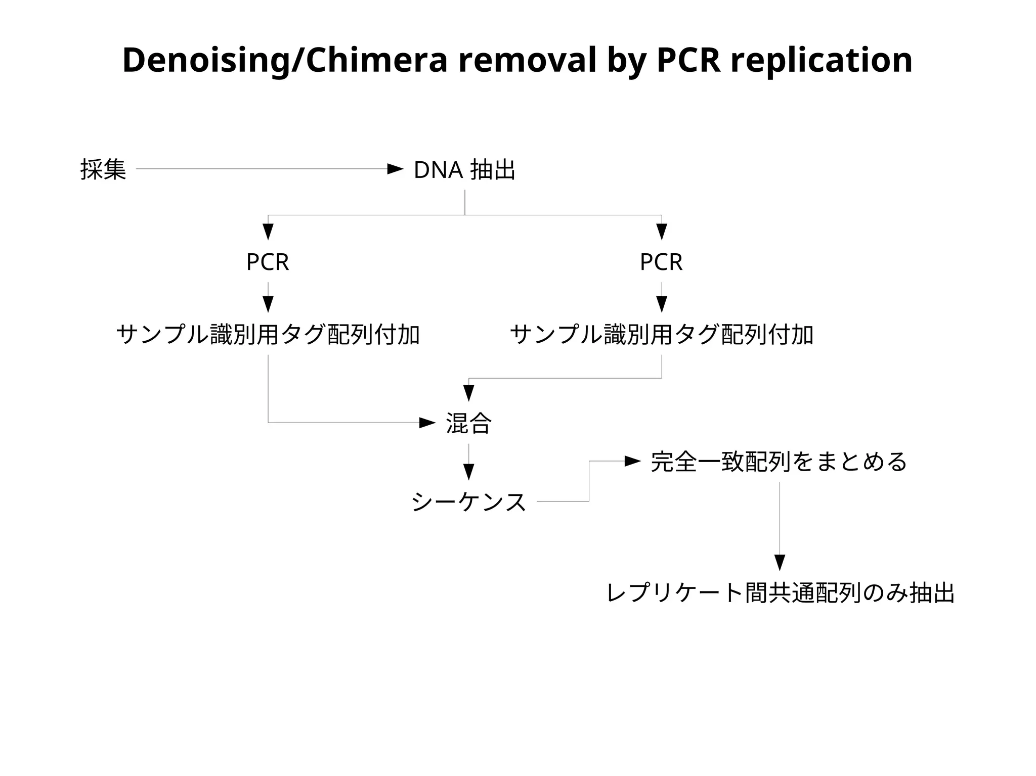 Denoising/Chimera removal by PCR replication
採集
完全一致配列をまとめる
レプリケート間共通配列のみ抽出
DNA 抽出
サンプル識別用タグ配列付加
混合
シーケンス
PCR PCR
サンプル識別用タグ配列付加
 