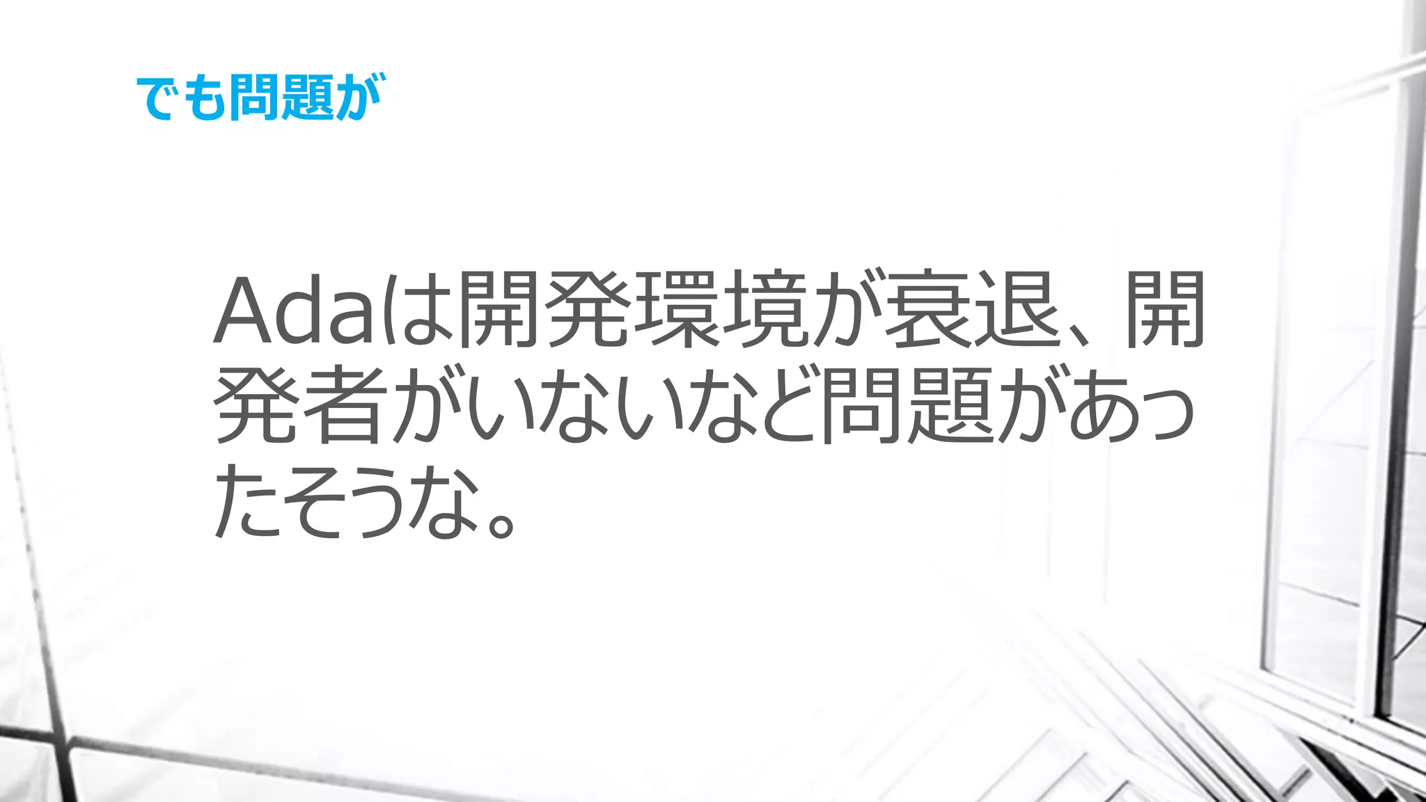 でも問題が
Adaは開発環境が衰退、開
発者がいないなど問題があっ
たそうな。
 