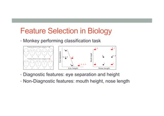 Feature Selection in Biology
•  Monkey performing classification task
•  Diagnostic features: eye separation and height
•  Non-Diagnostic features: mouth height, nose length
3/54
 