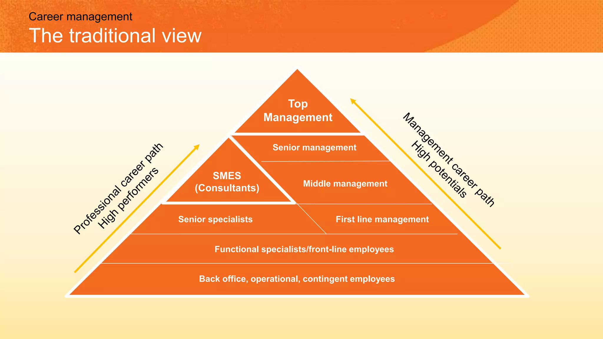 Back office, operational, contingent employees
Top
Management
Senior management
First line management
SMES
(Consultants)
Senior specialists
Functional specialists/front-line employees
Middle management
Career management
The traditional view
 