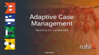 Adaptive Case
Management
Mastering the unpredictable
www.rubix.nl
 