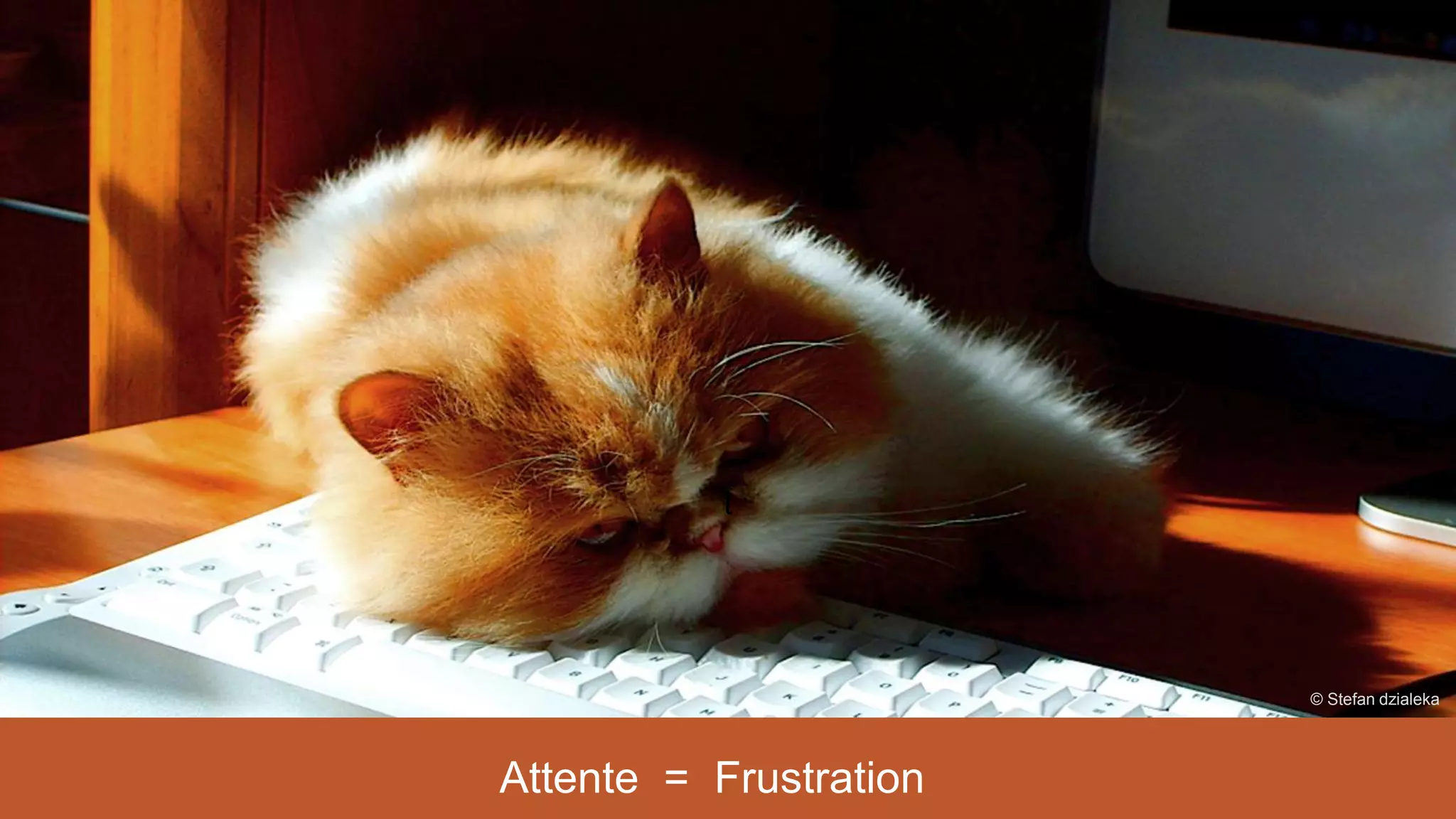 t
Attente = Frustration
© Stefan dzialeka
 