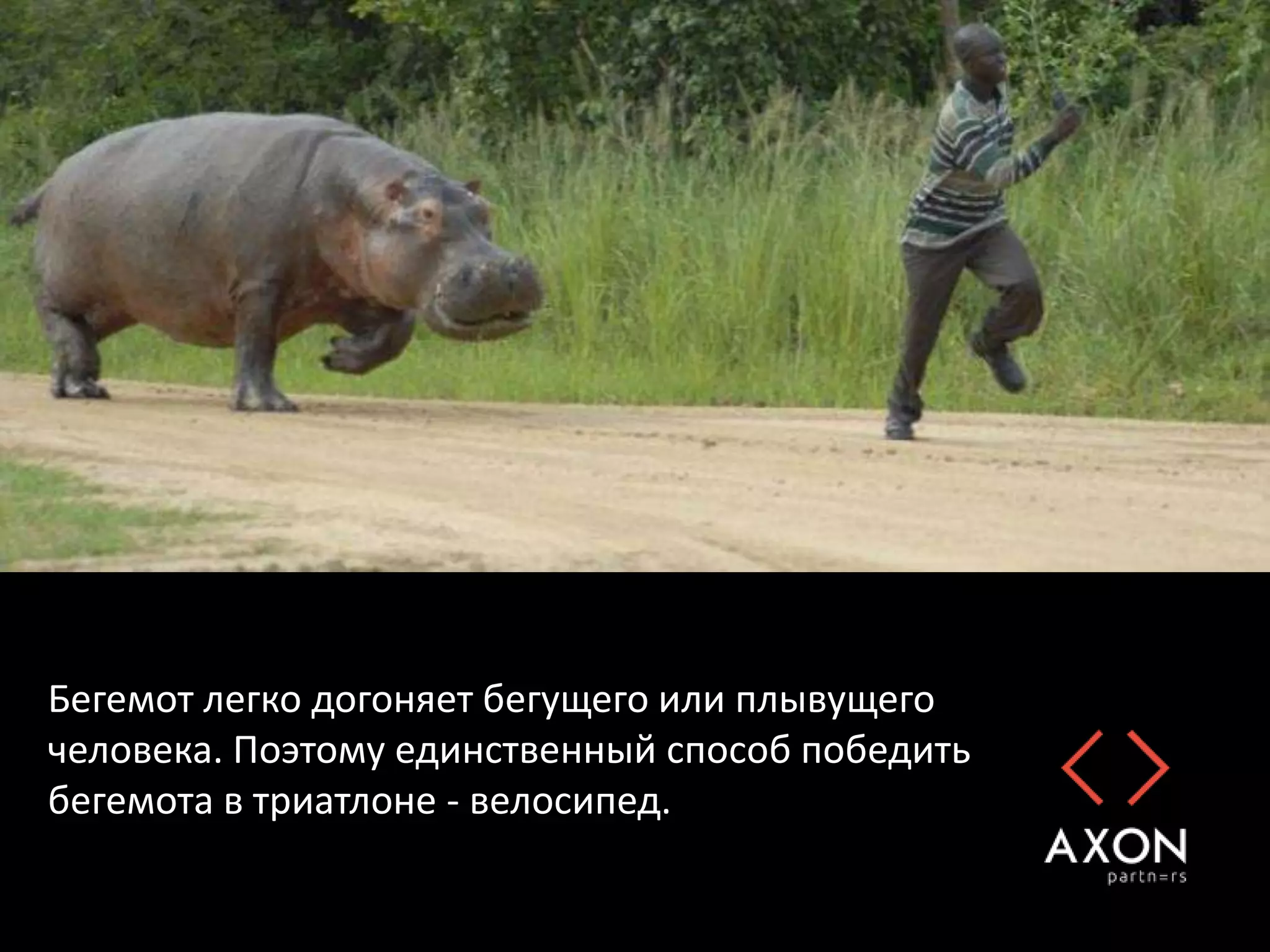 Бегемот легко догоняет бегущего или плывущего
человека. Поэтому единственный способ победить
бегемота в триатлоне - велосипед.
 
