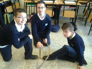 La Prehistoria - 5º EP - Abril 2016
 