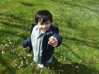 La Primavera - Abril de 2016 - E Infantil
 