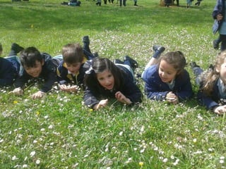 La Primavera - Abril de 2016 - E Infantil
 