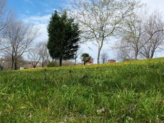 La Primavera - Abril de 2016 - E Infantil
 