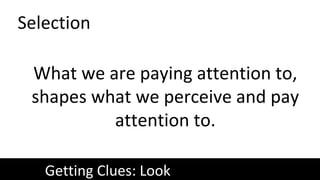 Selection
Getting Clues: Look
What we are paying attention to,
shapes what we perceive and pay
attention to.
 