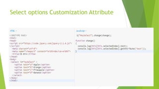 Select options Customization Attribute
 