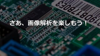 10SoftLayer Bluemix Community Festa 2016
さあ、画像解析を楽しもう！
 