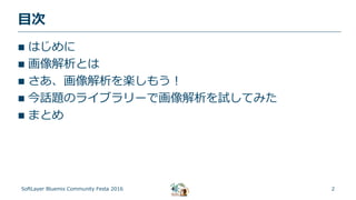 2
目次
SoftLayer Bluemix Community Festa 2016
 はじめに
 画像解析とは
 さあ、画像解析を楽しもう！
 今話題のライブラリーで画像解析を試してみた
 まとめ
 