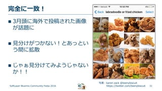 31
完全に一致！
SoftLayer Bluemix Community Festa 2016
 3月頭に海外で投稿された画像
が話題に
 見分けがつかない！とあっとい
う間に拡散
 じゃぁ見分けてみようじゃない
か！！
写真：karen zack @teenybiscuit
https://twitter.com/teenybiscuit
 