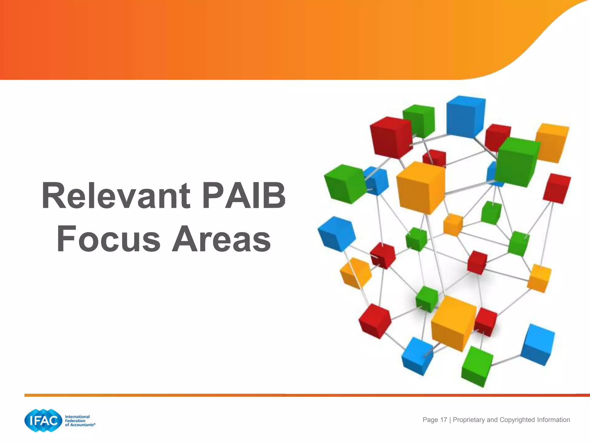 Page 17 | Proprietary and Copyrighted Information
Relevant PAIB
Focus Areas
 