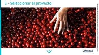 13
1.- Seleccionar el proyecto
http://www.vivirextremadura.es/la-mejor-cosecha-de-la-picota-del-jerte-en-anos/
 