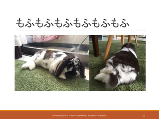 もふもふもふもふもふもふ
COPYRIGHT 2016 © CONCRETE5 JAPAN INC. ALL RIGHTS RESERVED. 10
 