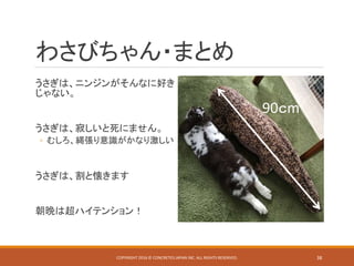 わさびちゃん・まとめ
うさぎは、ニンジンがそんなに好き
じゃない。
うさぎは、寂しいと死にません。
◦ むしろ、縄張り意識がかなり激しい
うさぎは、割と懐きます
朝晩は超ハイテンション！
90ｃm
COPYRIGHT 2016 © CONCRETE5 JAPAN INC. ALL RIGHTS RESERVED. 38
 
