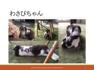 わさびちゃん
COPYRIGHT 2016 © CONCRETE5 JAPAN INC. ALL RIGHTS RESERVED. 4
 