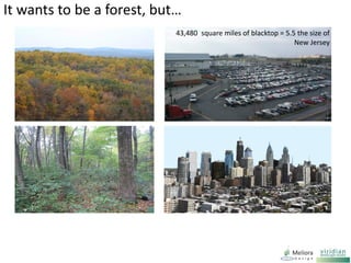 It wants to be a forest, but…
43,480 square miles of blacktop = 5.5 the size of
New Jersey
 