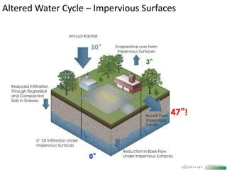 45”/YR
2”
43”
Altered Water Cycle – Impervious Surfaces
50”
3”
0”
47”!
 