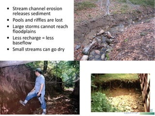 • Stream channel erosion
releases sediment
• Pools and riffles are lost
• Large storms cannot reach
floodplains
• Less recharge = less
baseflow
• Small streams can go dry
• La
 