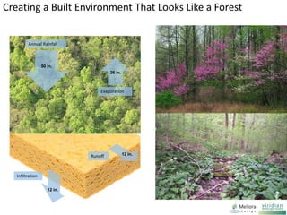 Creating a Built Environment That Looks Like a Forest
26 in.
12 in.
12 in.
Evaporation
Infiltration
Runoff
Annual Rainfall
50 in.
 
