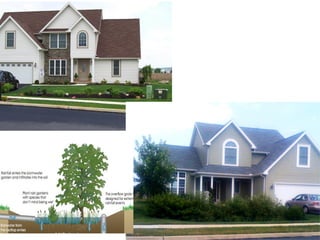 Each home manages its own runoff
in a Rain Garden seepage bed,
located in the right-of-way.
 