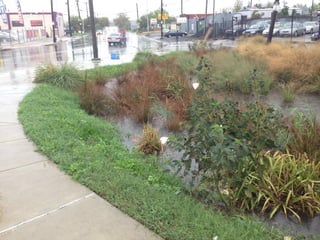 Site Analysis
Existing Conditions
 