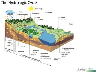 The Hydrologic Cycle
 