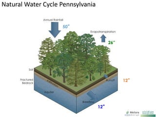15”
45
”
22”
8”
Natural Water Cycle Pennsylvania
50”
26”
12”
12”
 