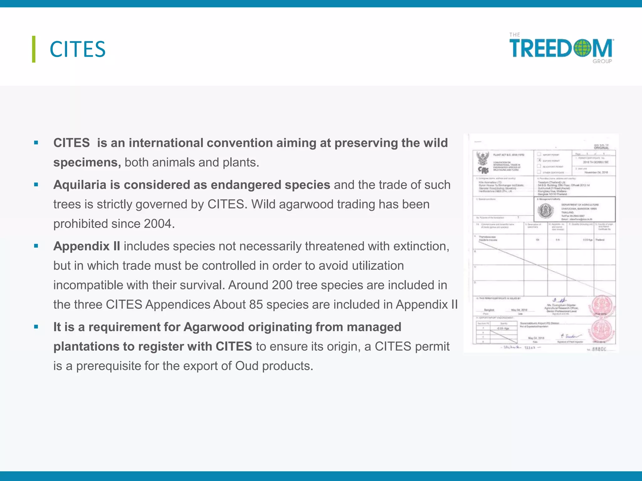 CITES
 CITES is an international convention aiming at preserving the wild
specimens, both animals and plants.
 Aquilaria is considered as endangered species and the trade of such
trees is strictly governed by CITES. Wild agarwood trading has been
prohibited since 2004.
 Appendix II includes species not necessarily threatened with extinction,
but in which trade must be controlled in order to avoid utilization
incompatible with their survival. Around 200 tree species are included in
the three CITES Appendices About 85 species are included in Appendix II
 It is a requirement for Agarwood originating from managed
plantations to register with CITES to ensure its origin, a CITES permit
is a prerequisite for the export of Oud products.
 