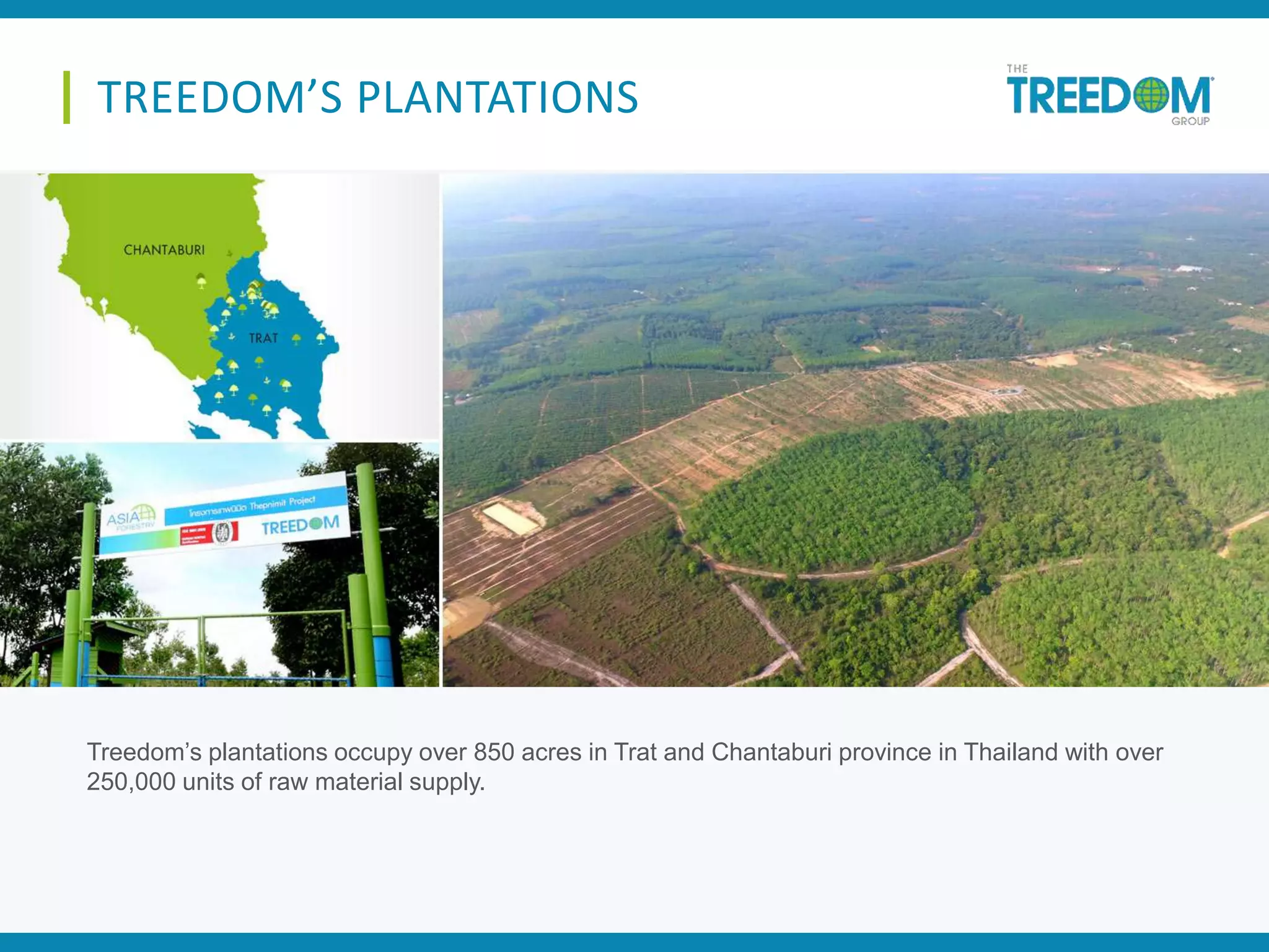 Treedom’s plantations occupy over 850 acres in Trat and Chantaburi province in Thailand with over
250,000 units of raw material supply.
TREEDOM’S PLANTATIONS
 