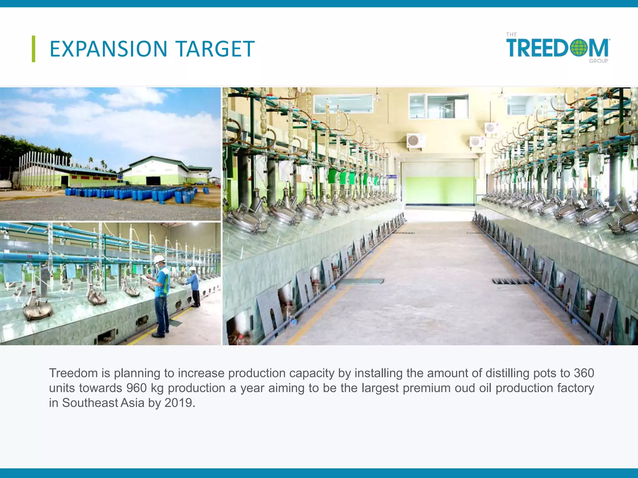 Treedom is planning to increase production capacity by installing the amount of distilling pots to 360
units towards 960 kg production a year aiming to be the largest premium oud oil production factory
in Southeast Asia by 2019.
EXPANSION TARGET
 