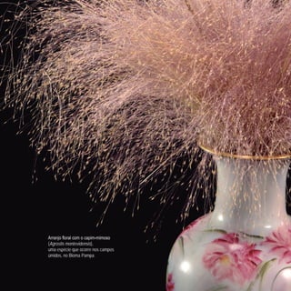 Arranjo floral com o capim-mimoso
(Agrostis montevidensis),
uma espécie que ocorre nos campos
úmidos, no Bioma Pampa.
 